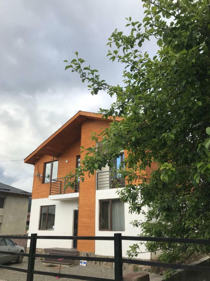 N1 Cottage In Bakuriani Eksteriør bilde