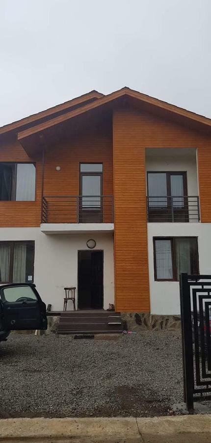 N1 Cottage In Bakuriani Eksteriør bilde